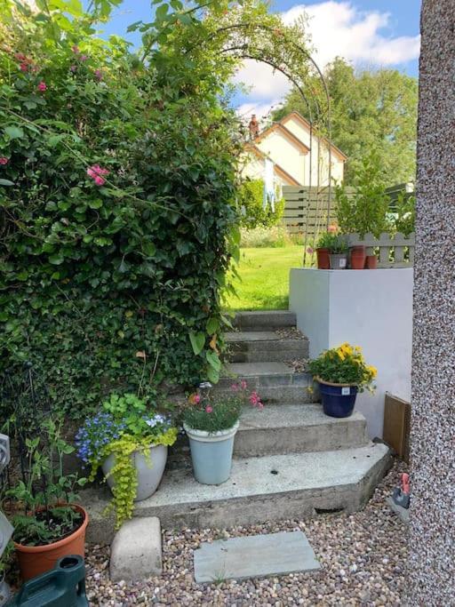 Entire 2 Bed Cottage - Llangwm Llangwm  Esterno foto