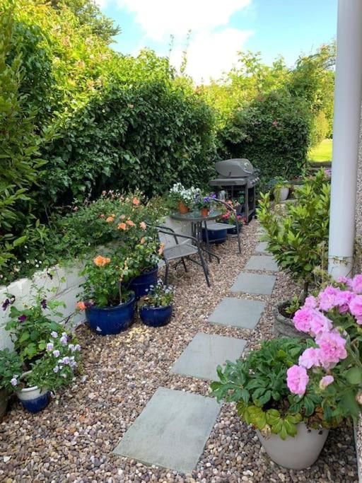 Entire 2 Bed Cottage - Llangwm Llangwm  Esterno foto